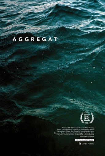 Poster of Aggregat