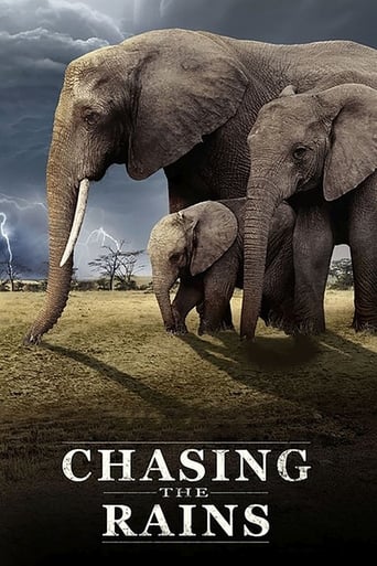 Poster of Chasing the Rains