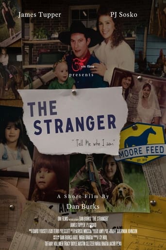 Poster of The Stranger