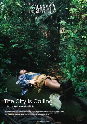 Poster of The City is Calling