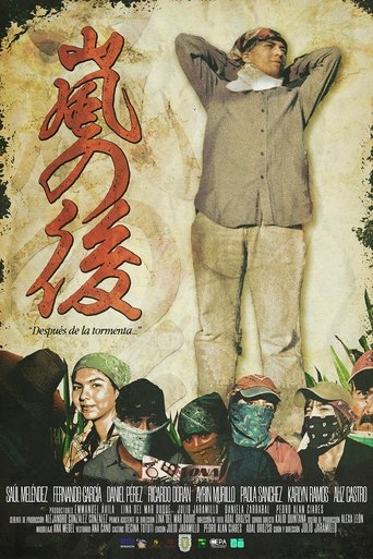 Poster of After the storm...
