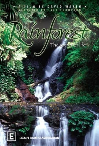 Poster of Rainforest: The Secret Of Life