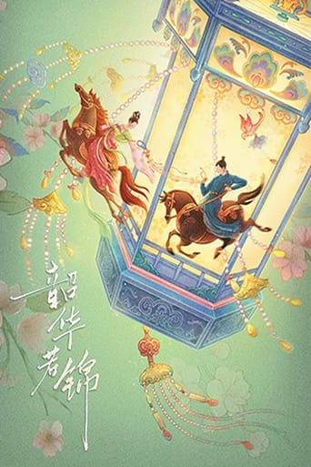 Poster of 韶华若锦