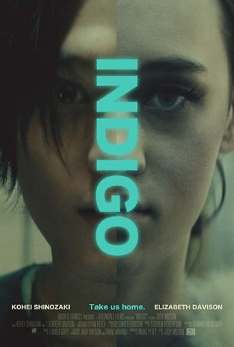 Poster of Indigo