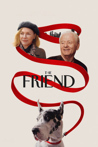 Poster of The Friend