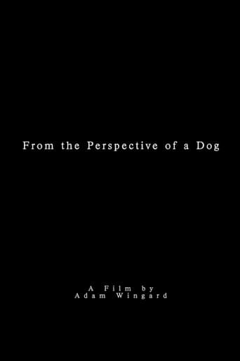 Poster of From the Perspective of a Dog