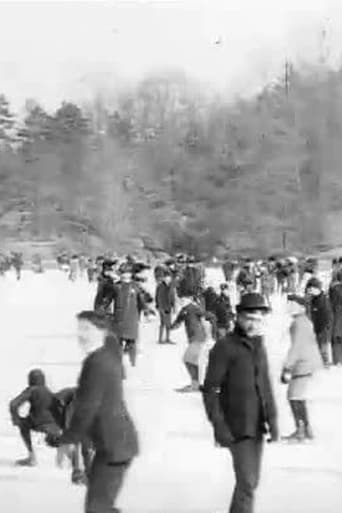 Poster of Skating in Central Park