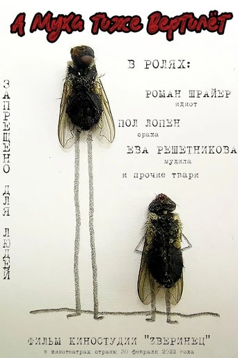 Poster of A Fly Is Also a Helicopter