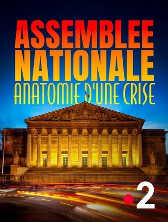 Poster of Assemblée nationale, anatomie d'une crise