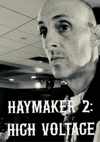 Poster of Haymaker 2: High Voltage