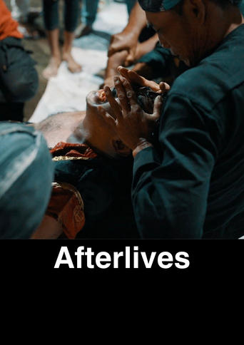 Poster of Afterlives