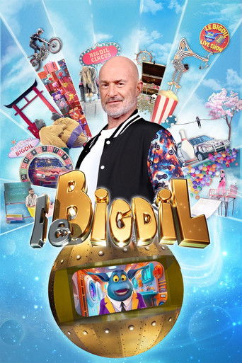 Poster of Le Bigdil