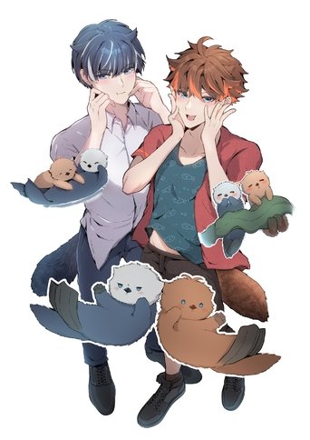 Poster of Anila and Cocora