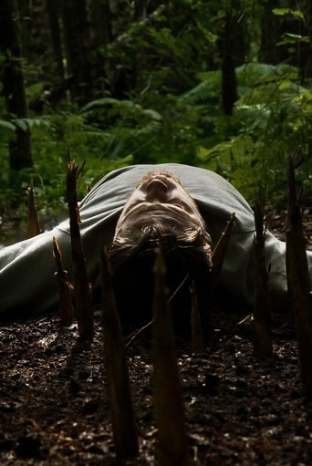 Poster of Bamboo Revenge