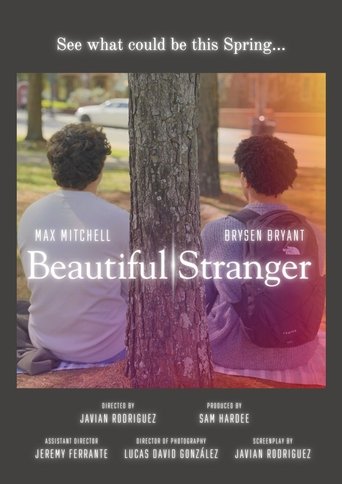 Poster of Beautiful Stranger
