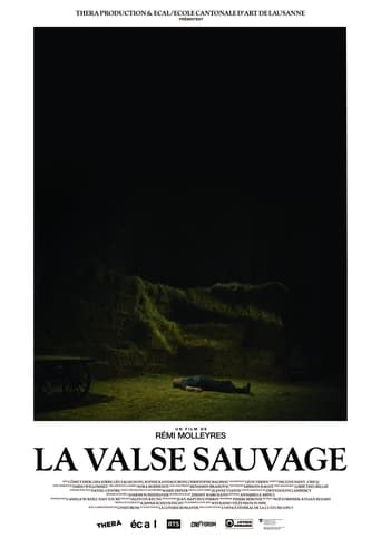 Poster of La Valse sauvage