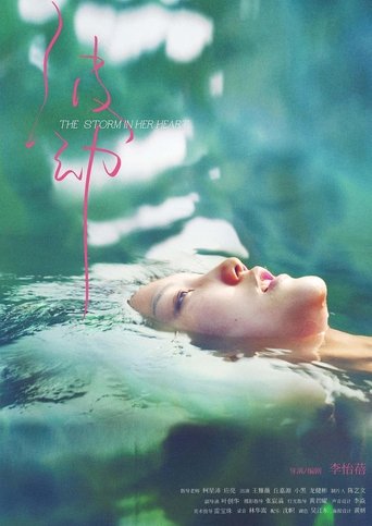 Poster of The Storm in Her Heart