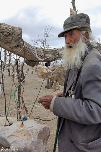 Poster of The Old Man and his Garden of Stones