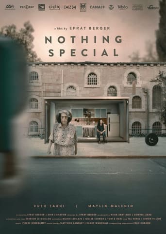 Poster of Nothing Special