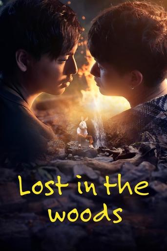 Poster of Lost in the Woods