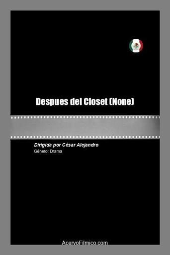 Poster of Despues del Closet