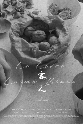 Poster of 客人