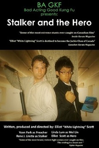 Poster of Stalker and the Hero