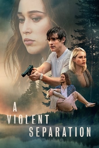 Poster of A Violent Separation