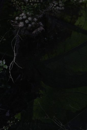 Poster of Lost Gardens