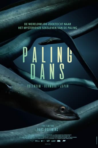 Poster of Palingdans