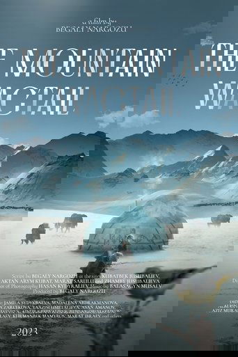 Poster of The Mountain Wagtail