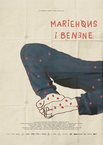 Poster of Ladybugs