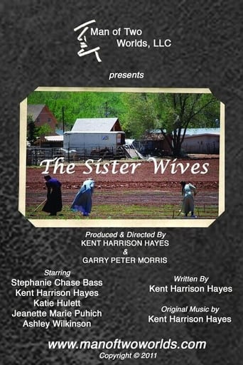 Poster of The Sister Wives