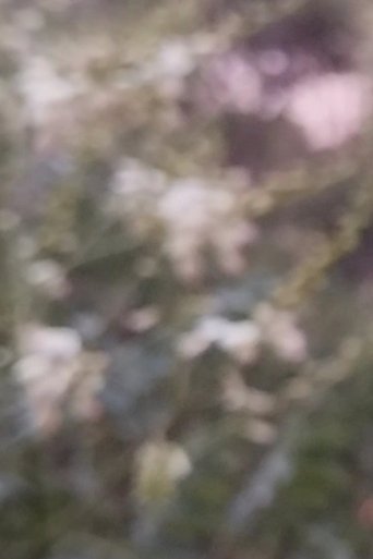 Monotony Poster of Monotony