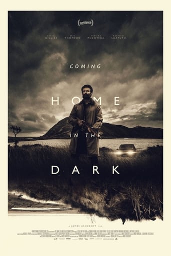 Poster of Coming Home in the Dark