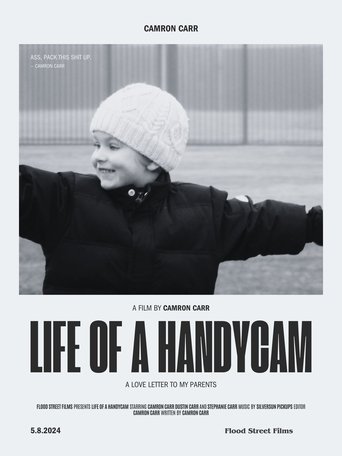 Poster of The Life of a Handycam