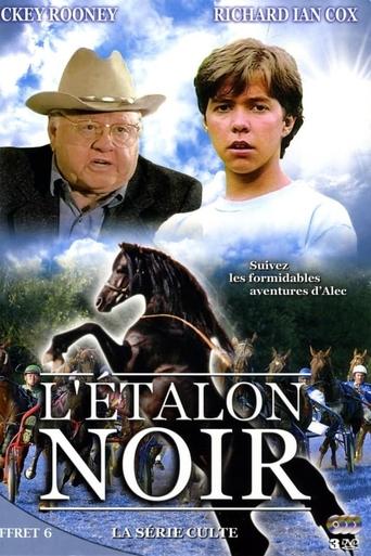 Portrait for The Adventures of the Black Stallion - Season 1