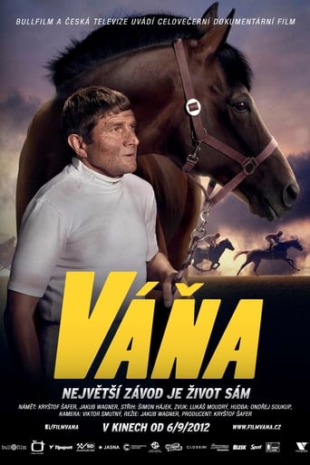 Poster of Váňa