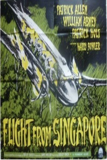 Poster of Flight from Singapore