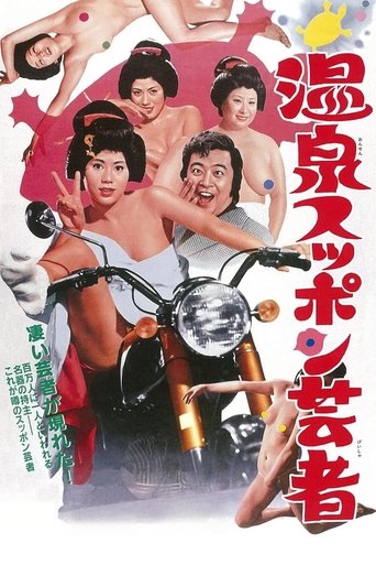 Poster of Turtle Geisha