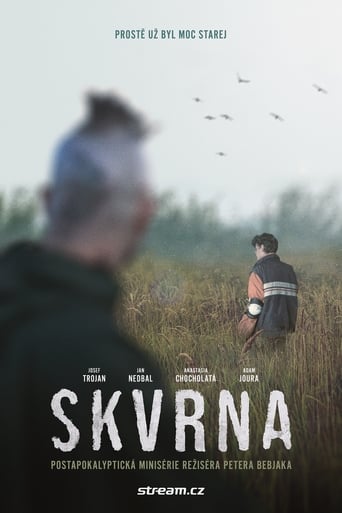 Poster of Skvrna