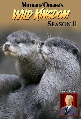 Portrait for Mutual of Omaha's Wild Kingdom - Season 11