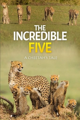 Poster of The Incredible Five: A Cheetah's Tale