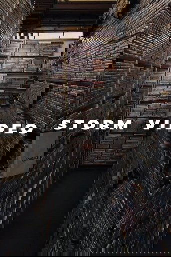 Poster of Storm Video