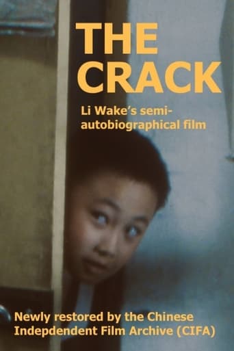 Poster of The Crack