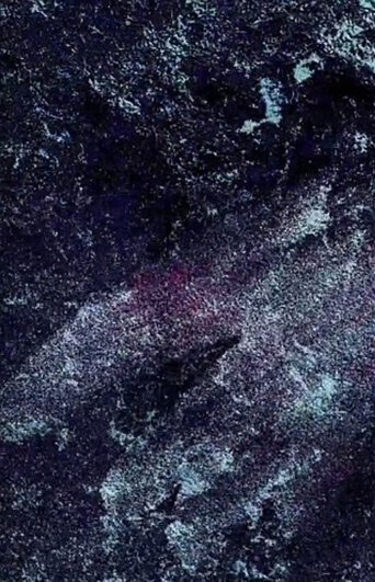 Mille Regretz, live Poster of Mille Regretz, live