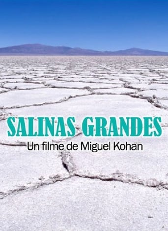 Poster of Salinas grandes