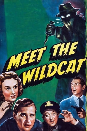 Poster of Meet the Wildcat