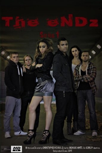 Poster of The Endz