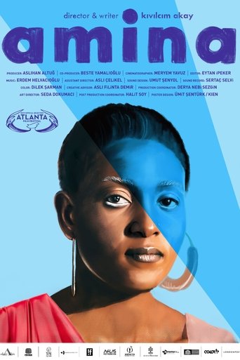 Poster of Amina